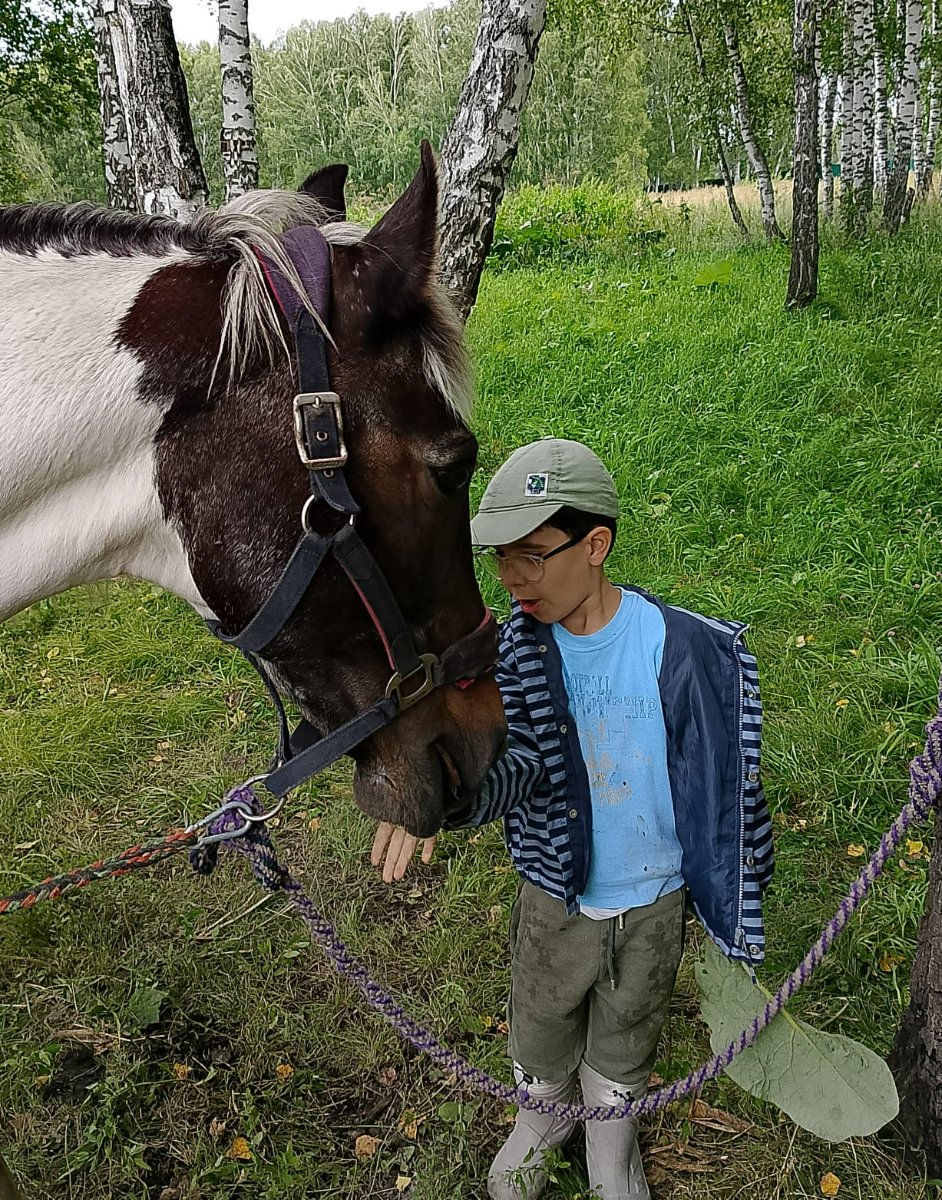 Изображение WhatsApp 2025-07-24 в 20.59.49_86b897a5.jpg