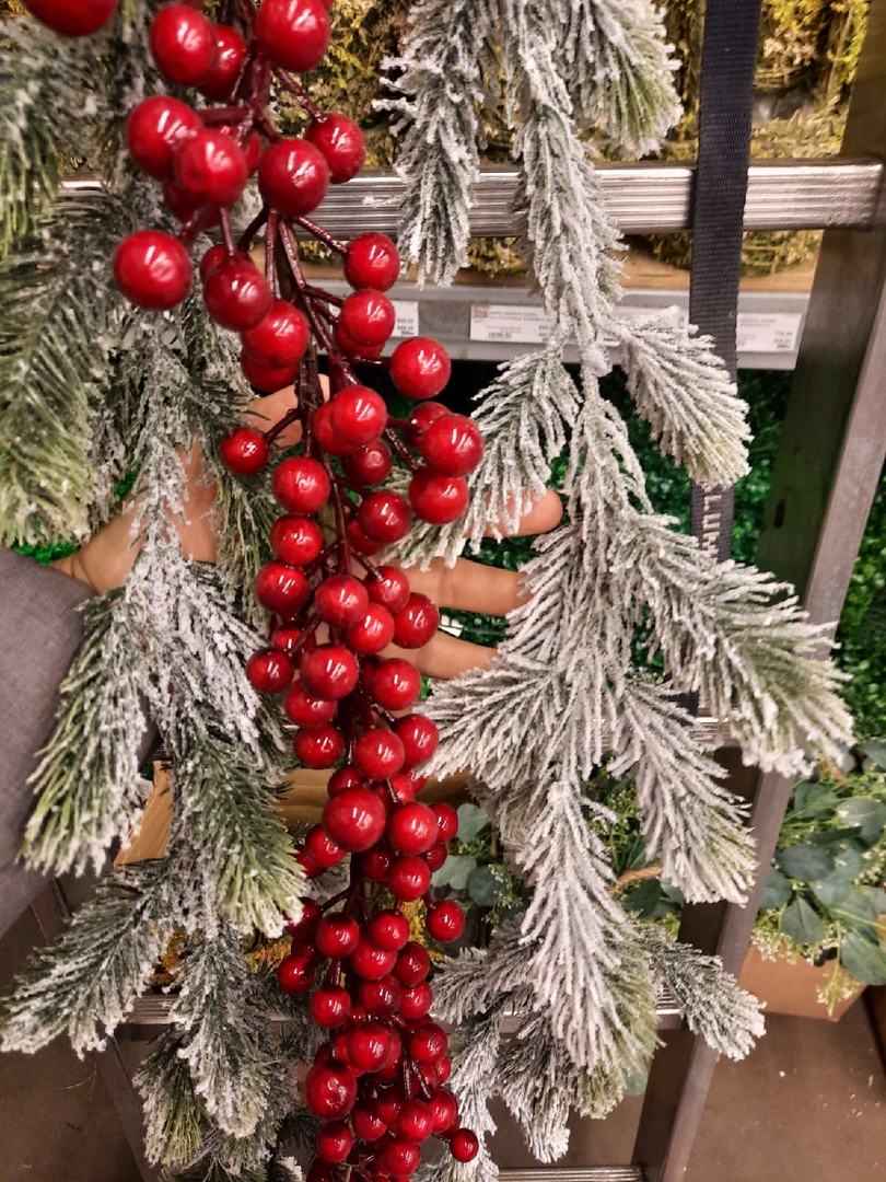 ягоды с хвоей.jpg