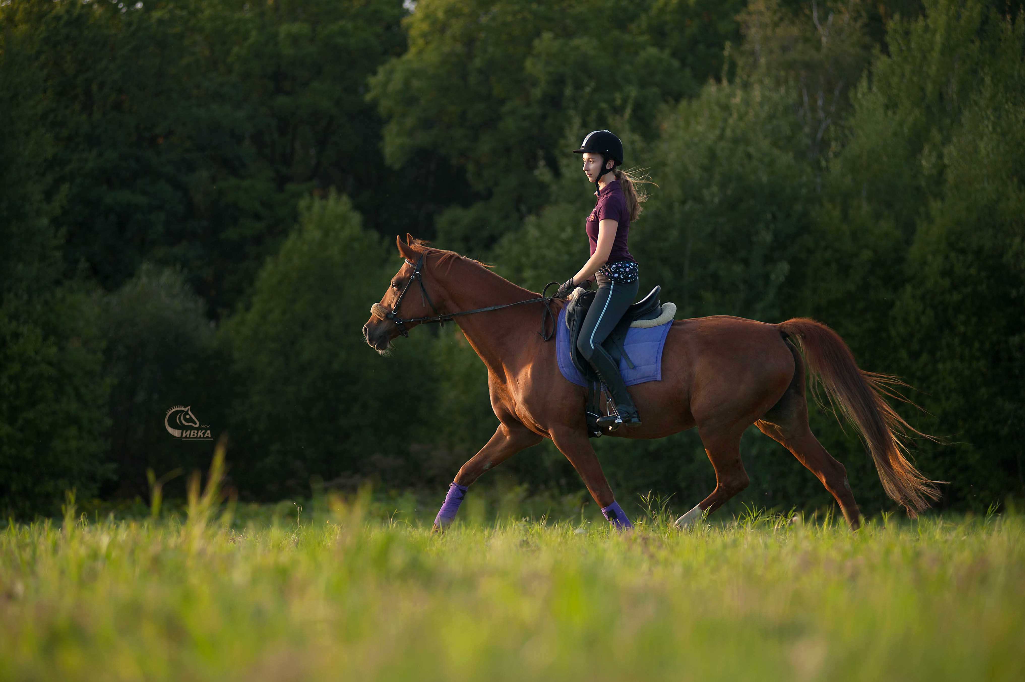 Яна поле 2.jpg