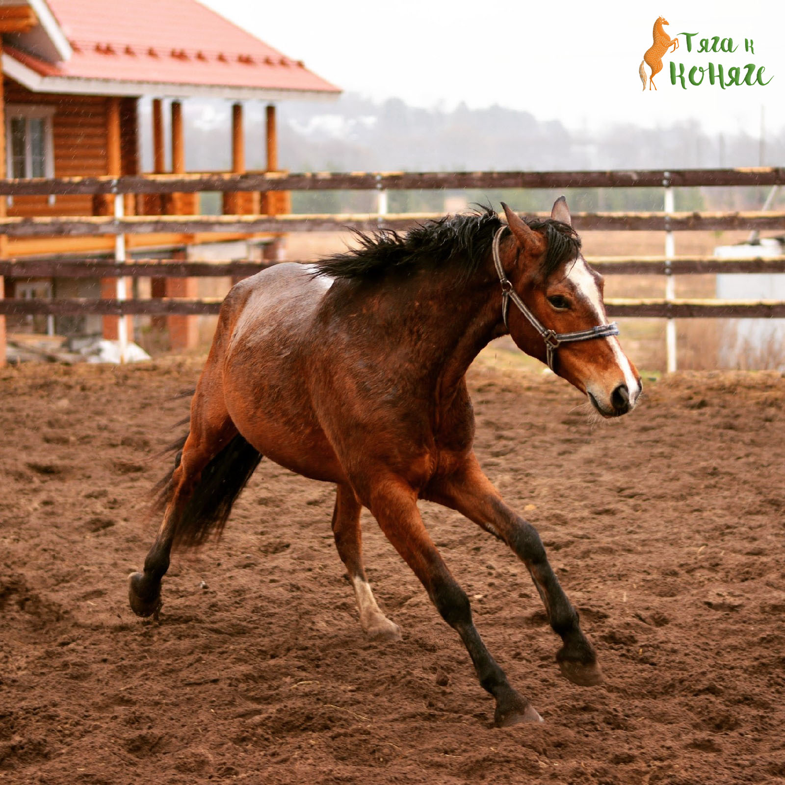 jcvfsqzpc5a-jpg.388922