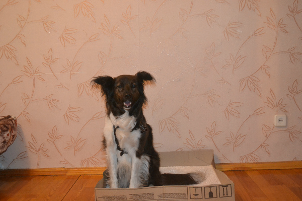 юта в коробке.jpg