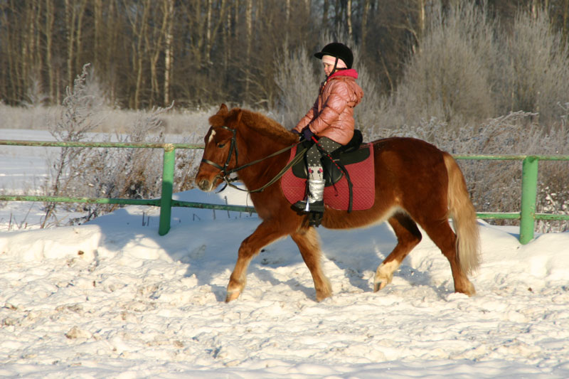 K284.jpg
