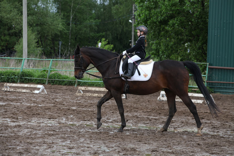 K_3967.jpg