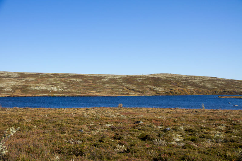 K_5193.jpg
