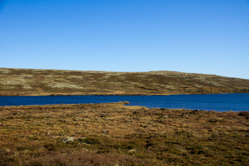 K_5194.jpg