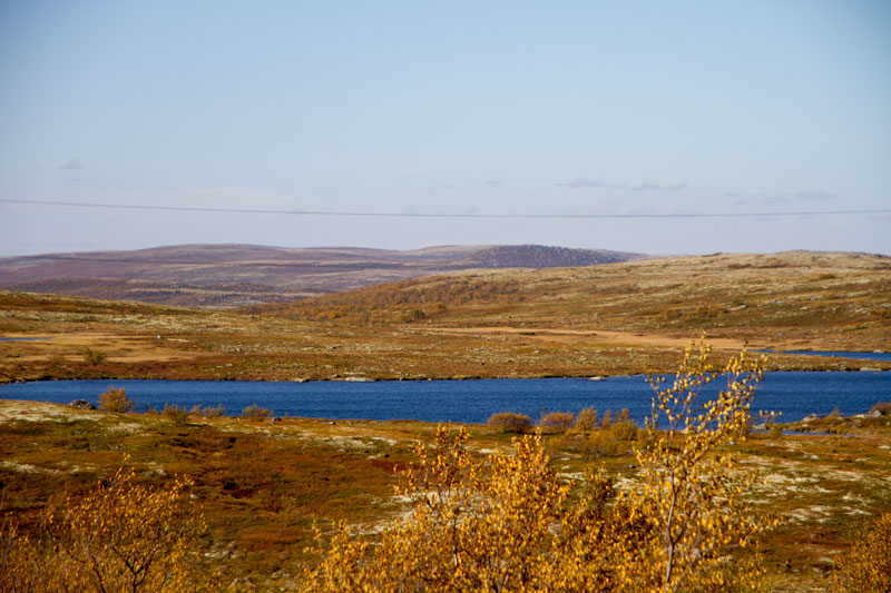 K_5196.jpg