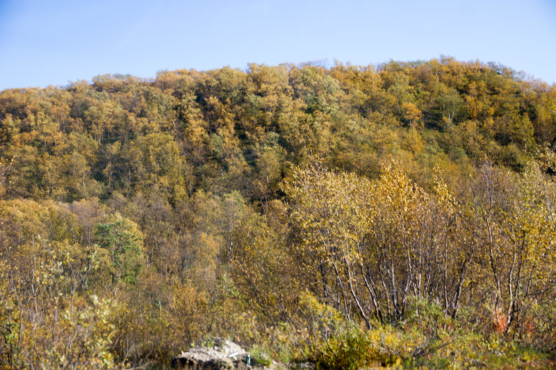 K_5217.jpg
