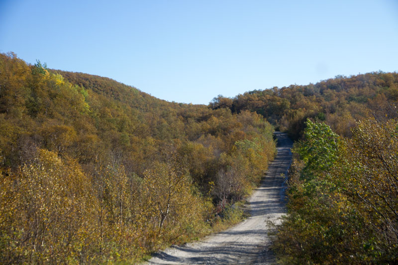 K_5218.jpg