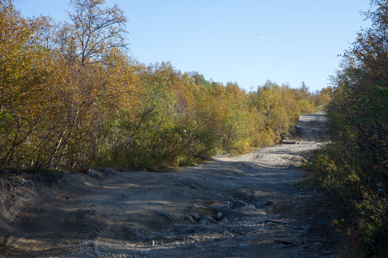 K_5225.jpg