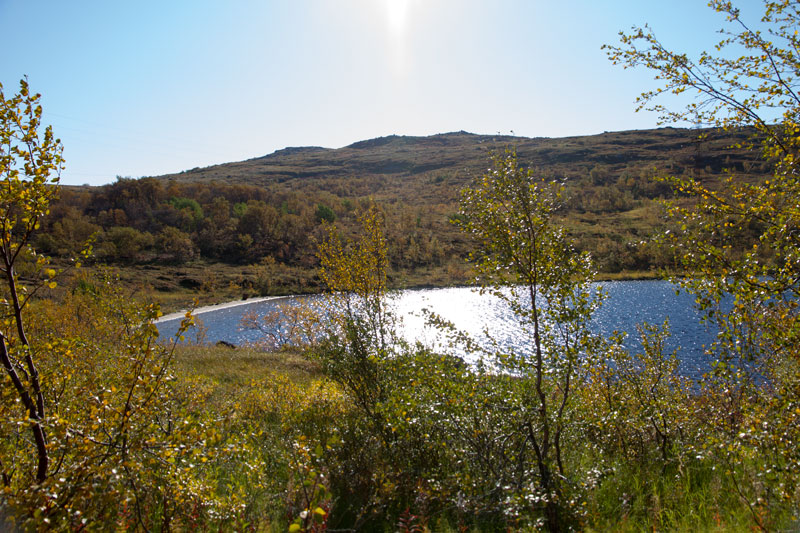 K_5244.jpg