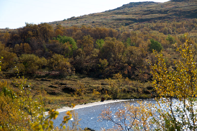 K_5245.jpg
