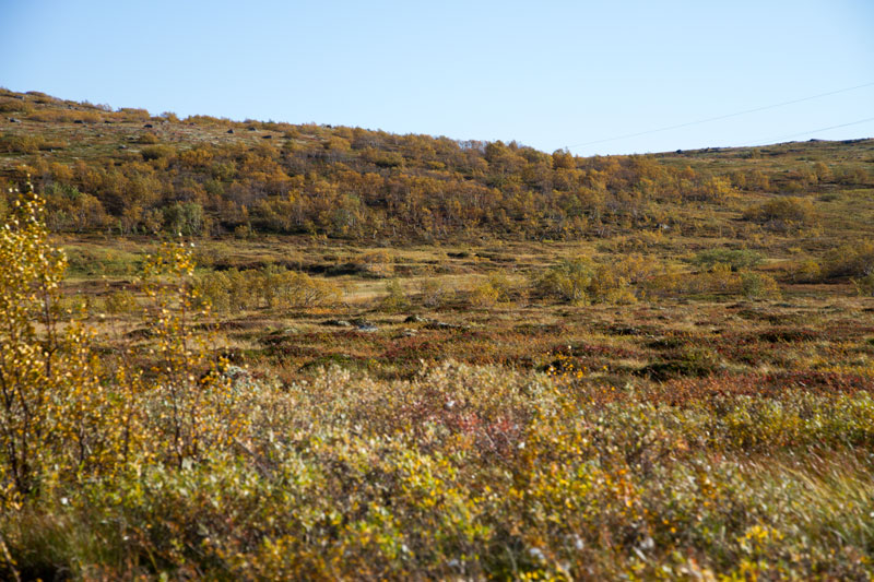 K_5248.jpg