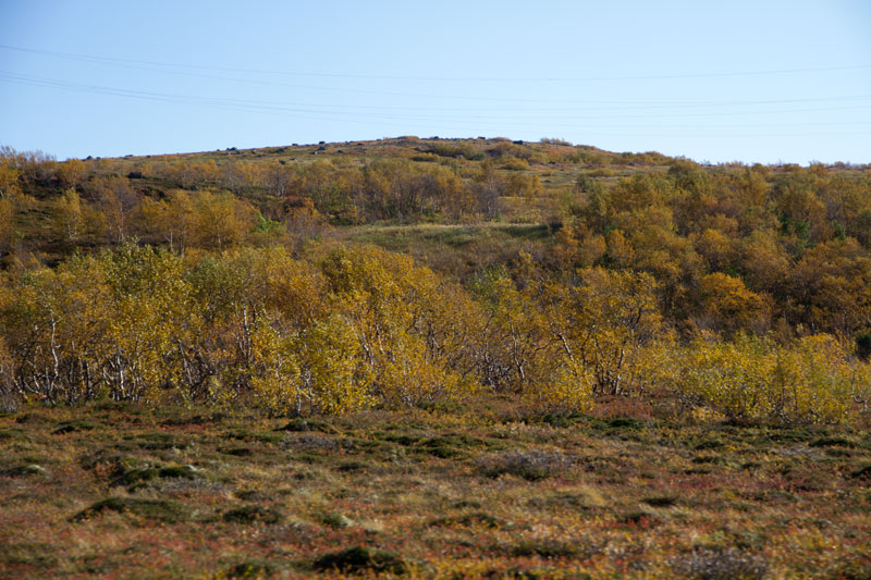 K_5251.jpg