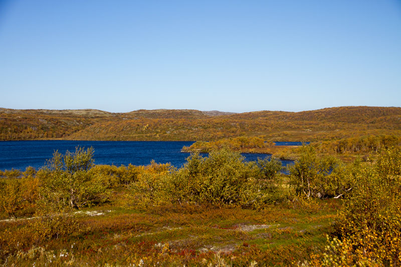 K_5253.jpg