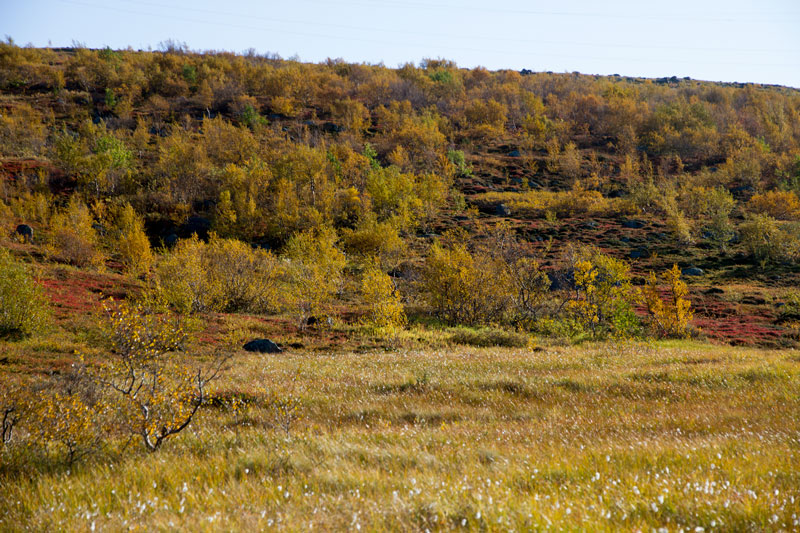 K_5275.jpg
