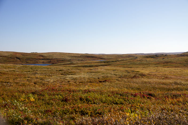 K_5322.jpg