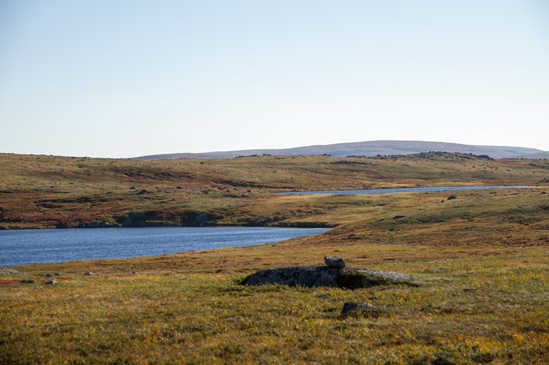 K_5330.jpg