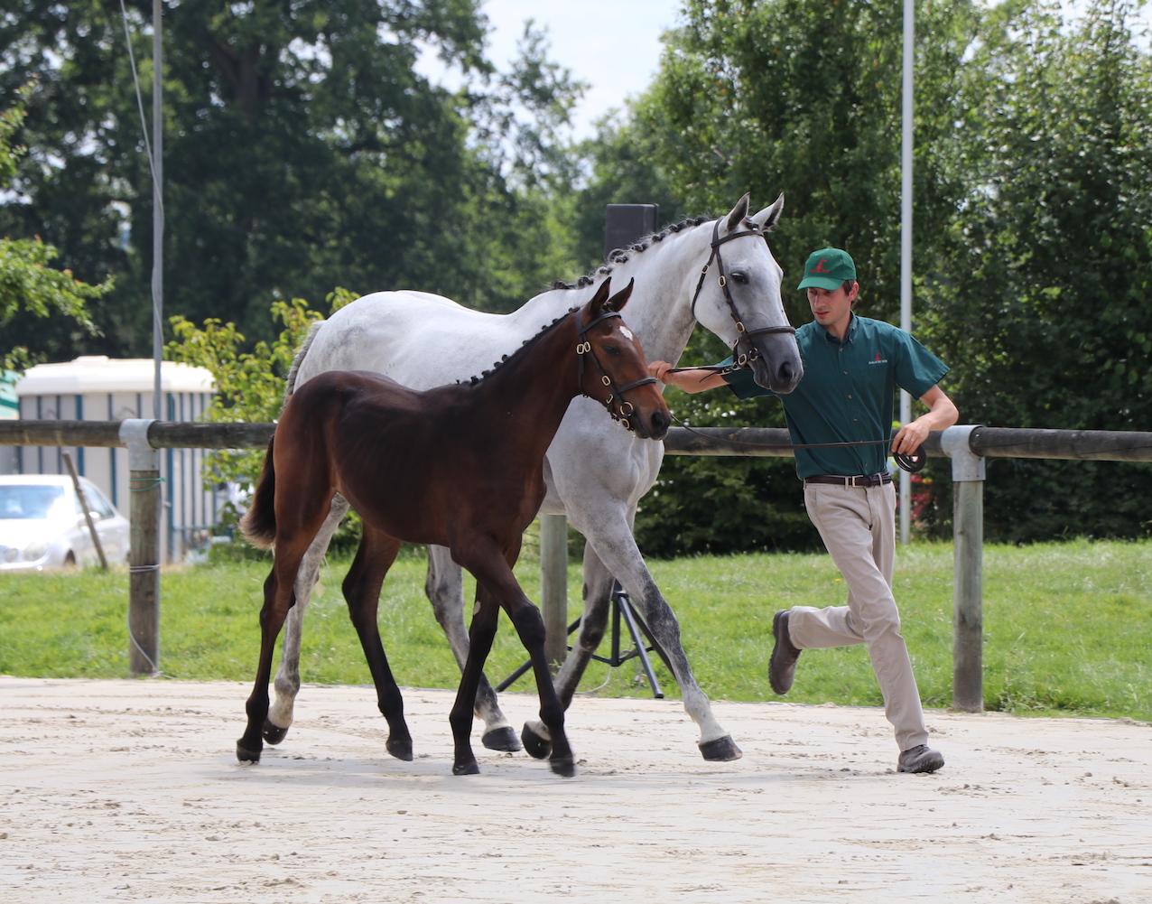 k_5377 - copie.jpg