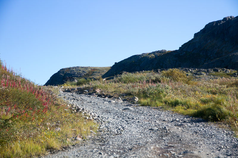K_5442.jpg