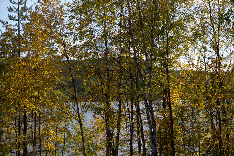 K_5776.jpg