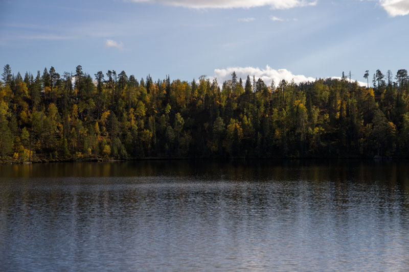 K_5783.jpg