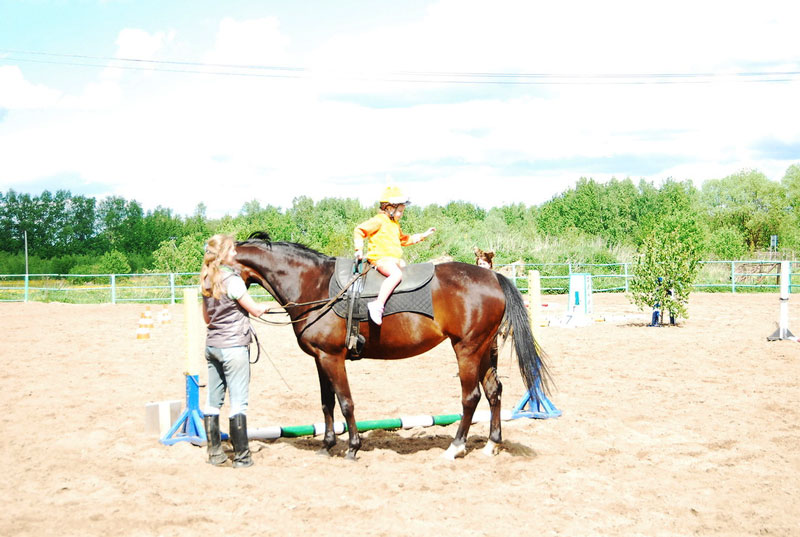 K_9784.jpg