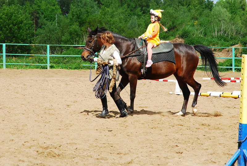 K_9810.jpg