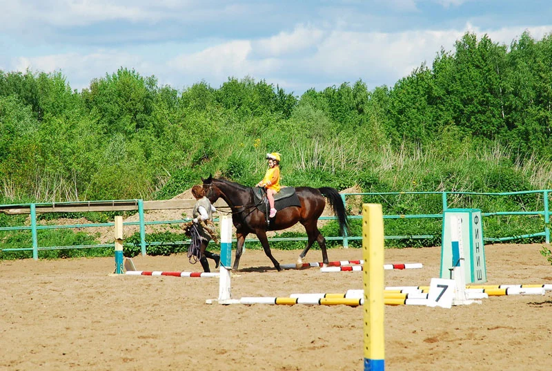 K_9817.webp
