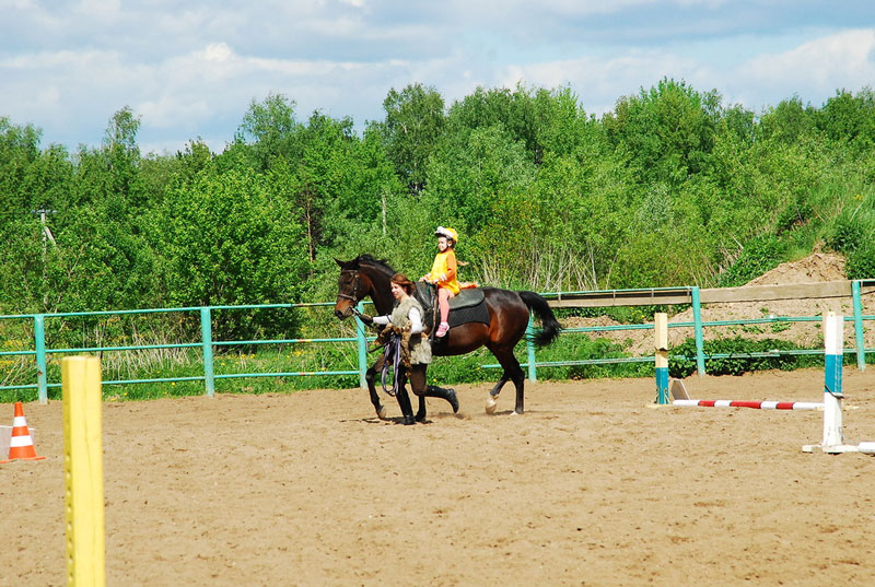 K_9819.jpg