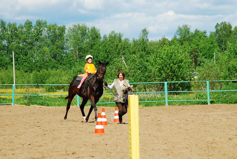 K_9821.jpg