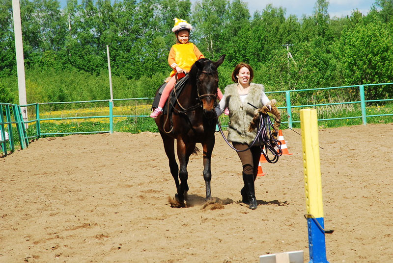 K_9823.jpg
