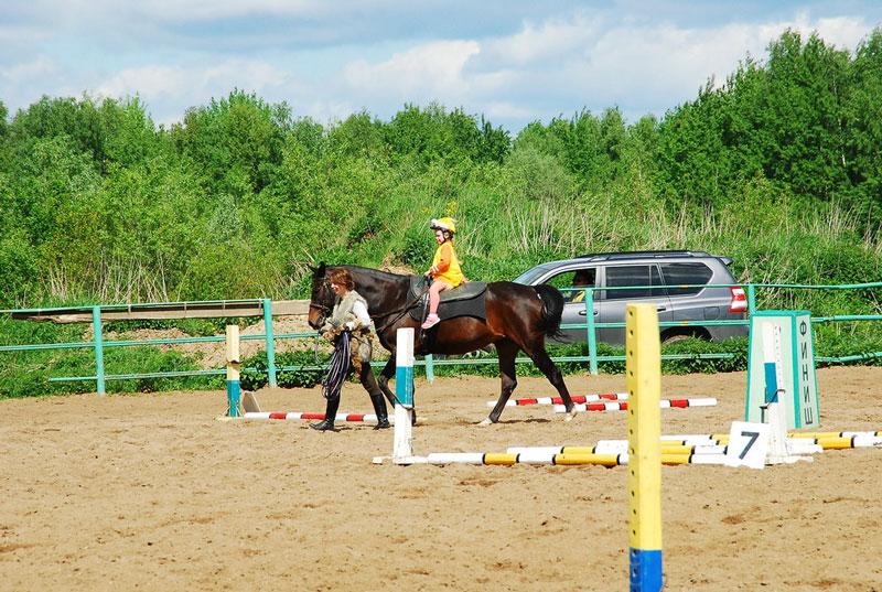 K_9827.jpg