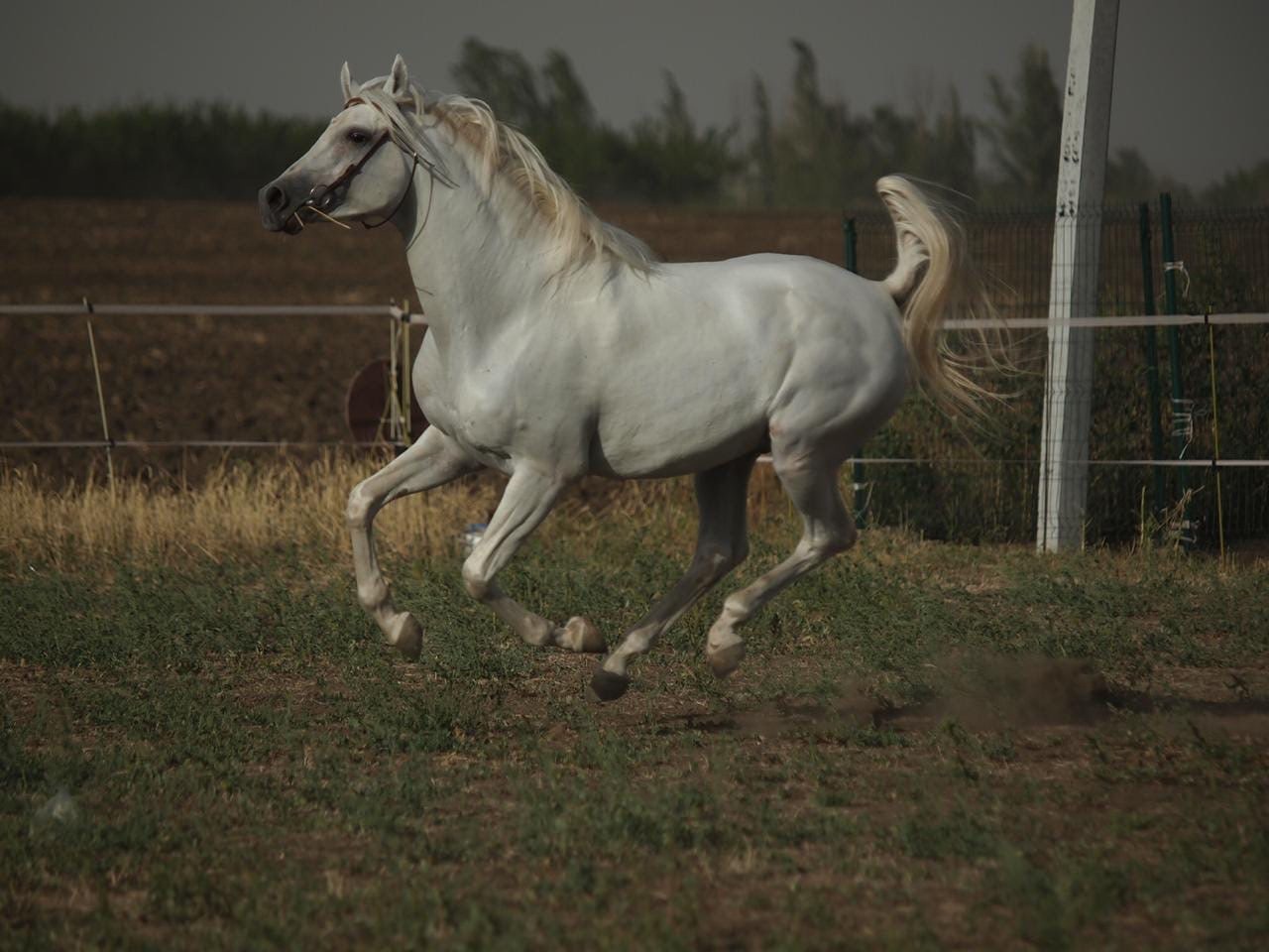 качест2.jpg