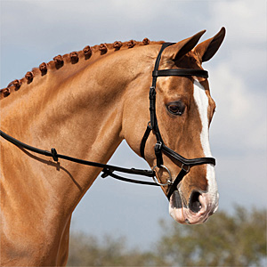 капсюль комфорт (3).jpg