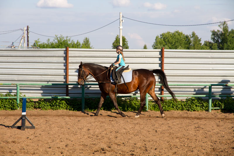 Karo_2330.jpg