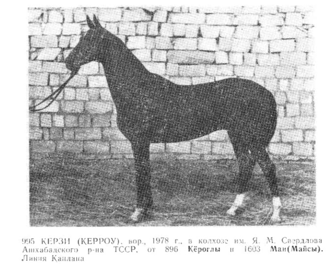 керзи1.jpg
