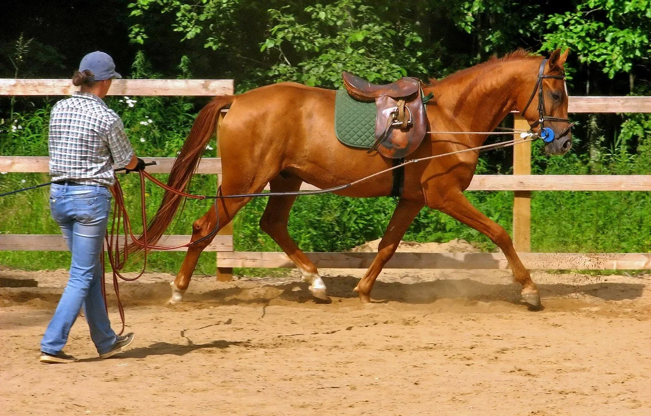 KGXNfPaxMGA.webp