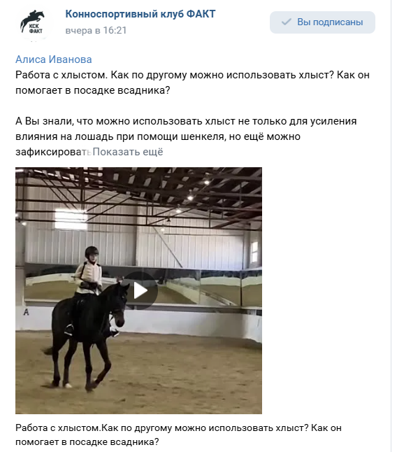 Хлыстик.png