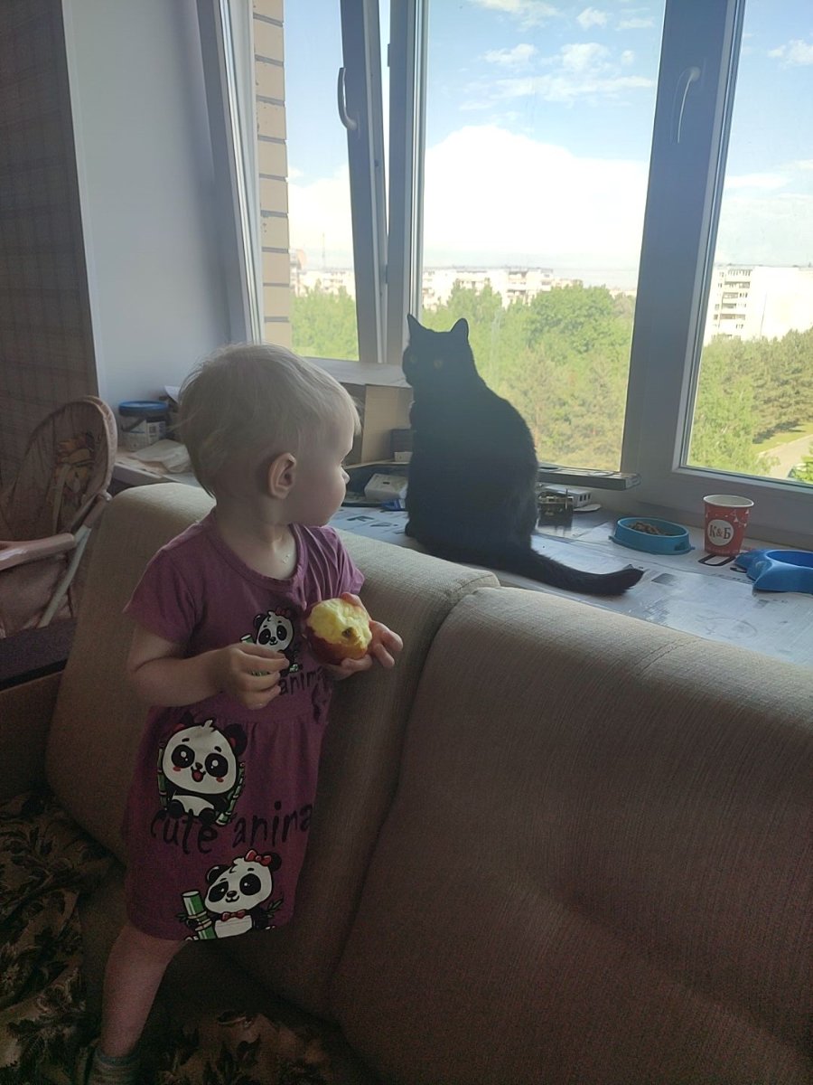 kj_282fxxRLXBjXSHcma_bgxFVRx2HiAFPn09m4rgiXNCD658oUzGjricjN76m2KFDqYMNET4C4MwPy4mJItWbJd.jpg