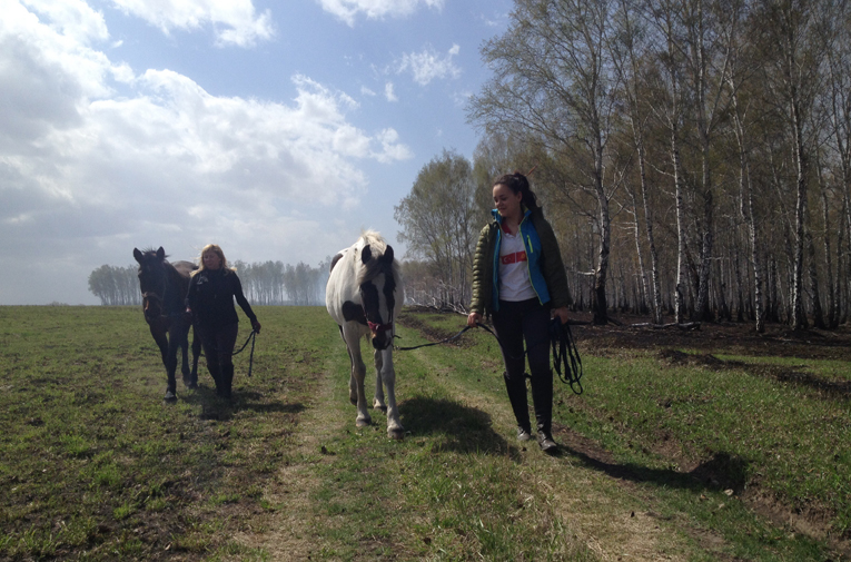 Кобыл ведут с поля-мал.jpg