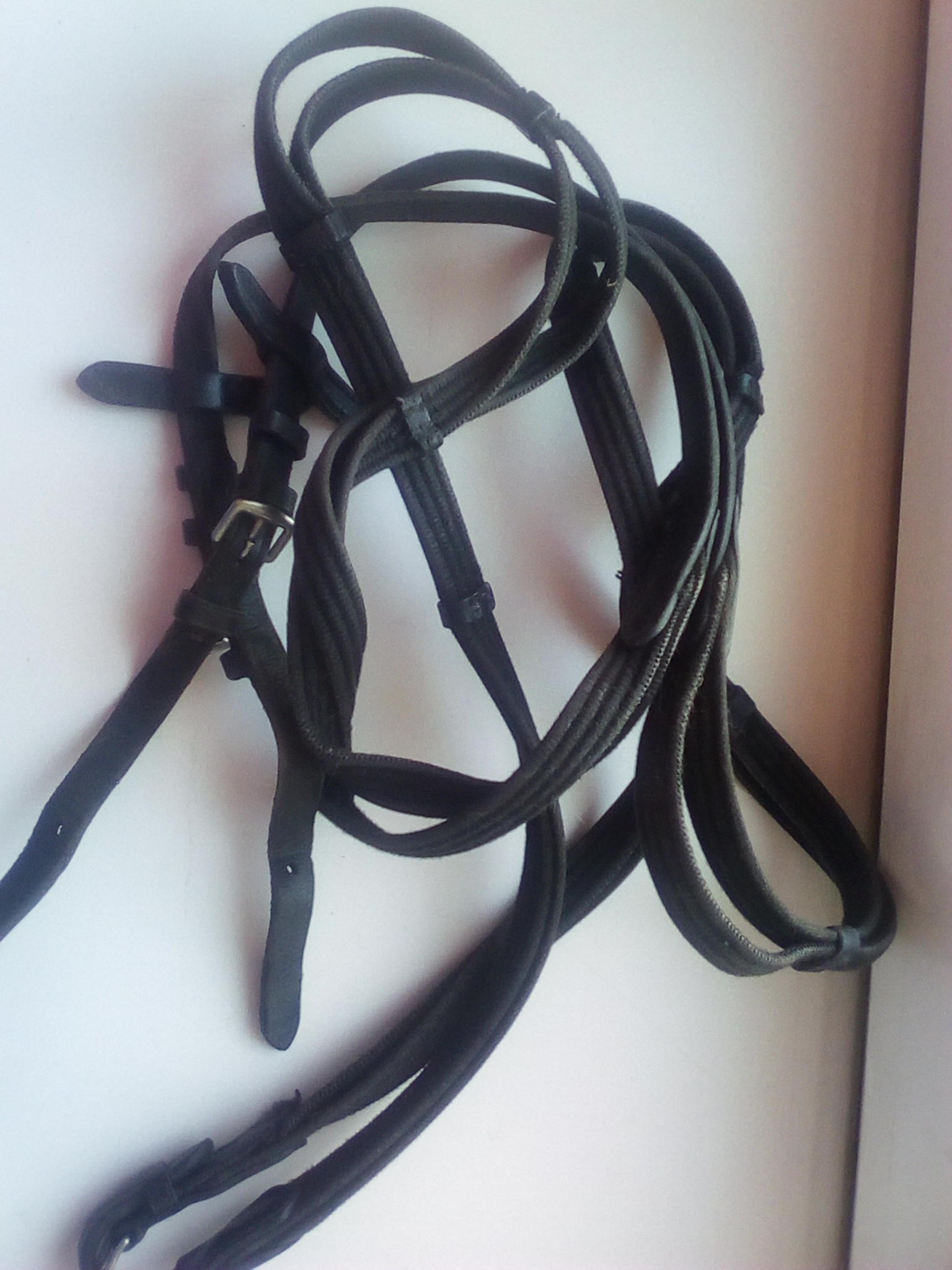 кольца повод.jpg