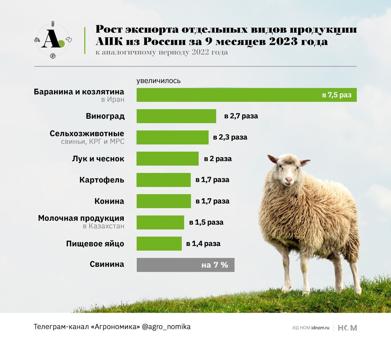 конина.jpg