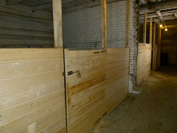 Конюшня для кобыл.jpg