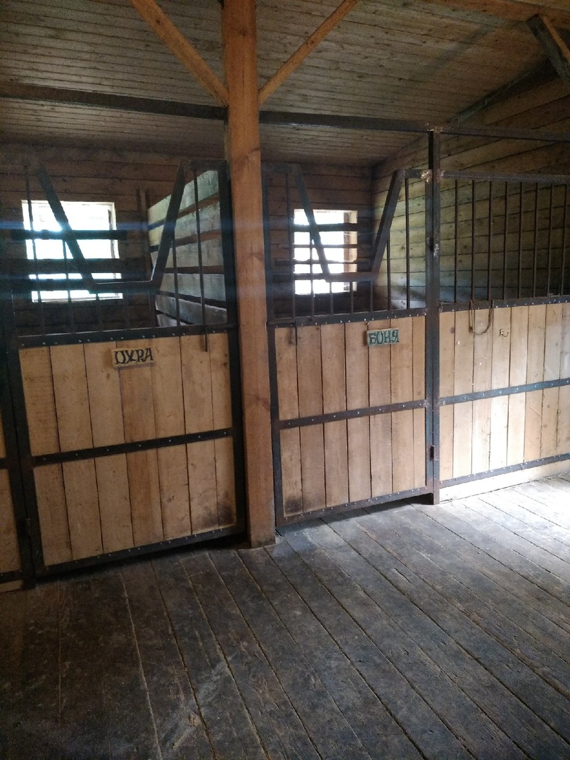 конюшня.jpg