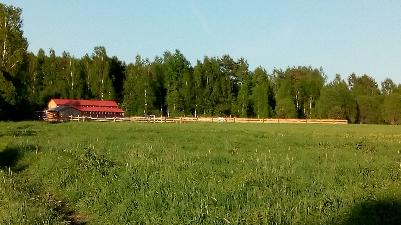 конюшня снаружи.jpg