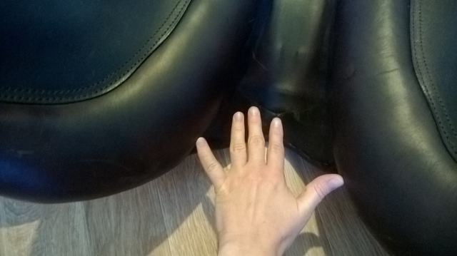 konkurnoe_sedlo__ang_8725_333_b.png