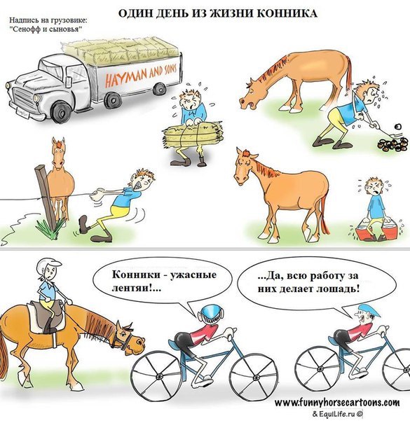 Конники ))).jpg
