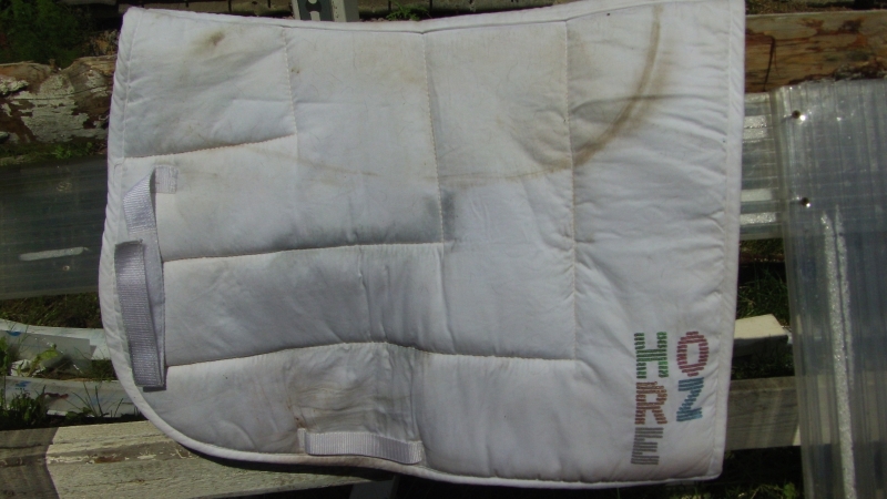 Копия GEDC1543.JPG