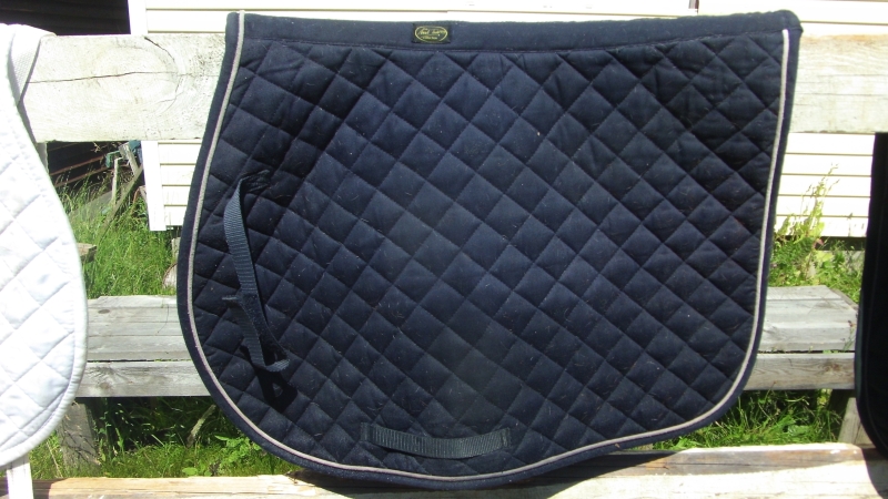 Копия GEDC1544.JPG