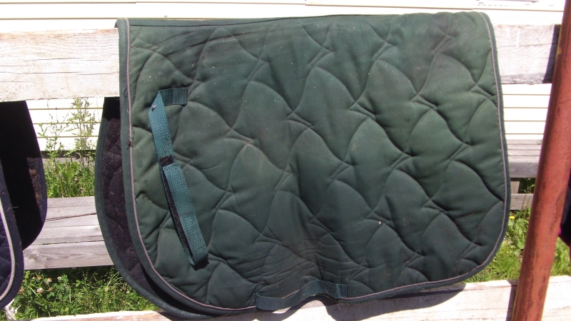 Копия GEDC1547.JPG